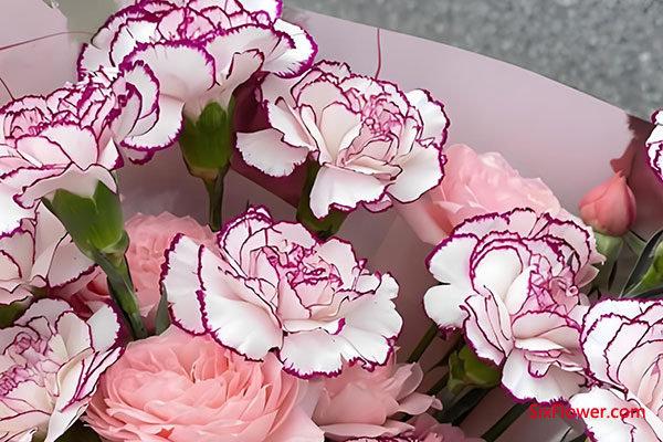 �Ͼ��鿵��ܰ��б���ľ�׼����