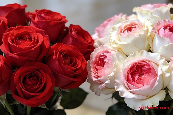 ������ɫ�ʵĶԱ�