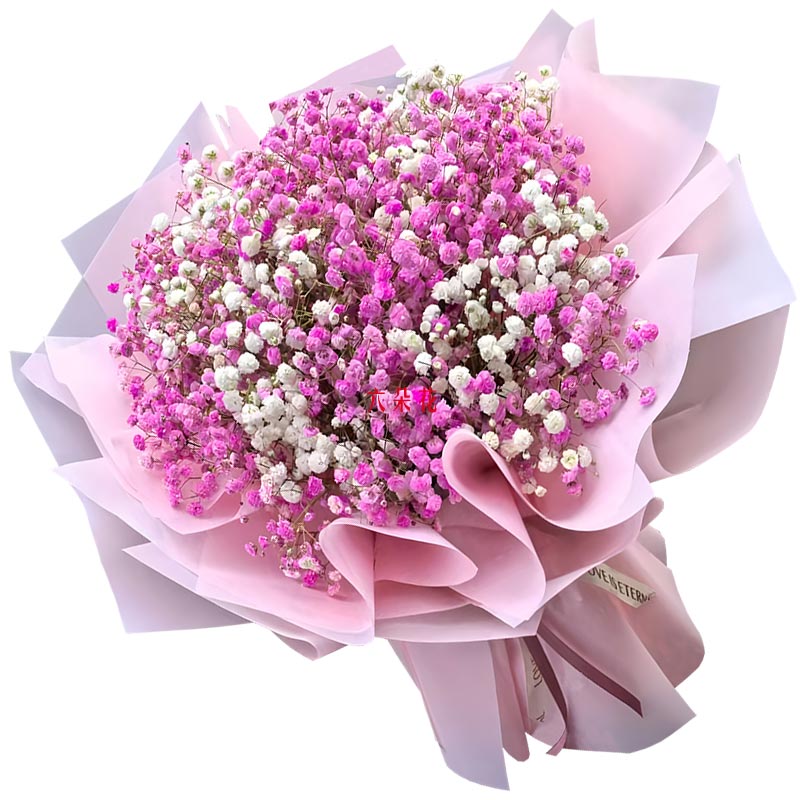 ��ɫ������һ��������֯�Ҹ�ͼ��