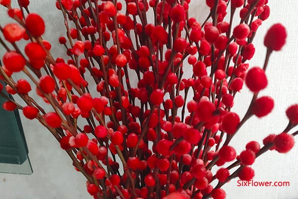 Ӧ��������ϲ��