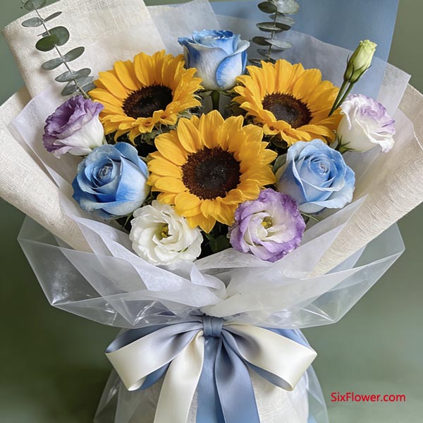 ��װ����佨��