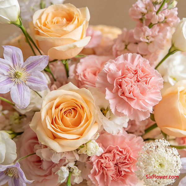 ����֪�Է� &mdash;&mdash; ����õ�� + ��ɫ����ܰ