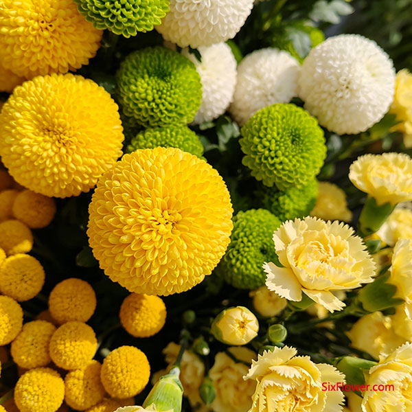 还有哪些&ldquo;不败&rdquo;的补充花材？