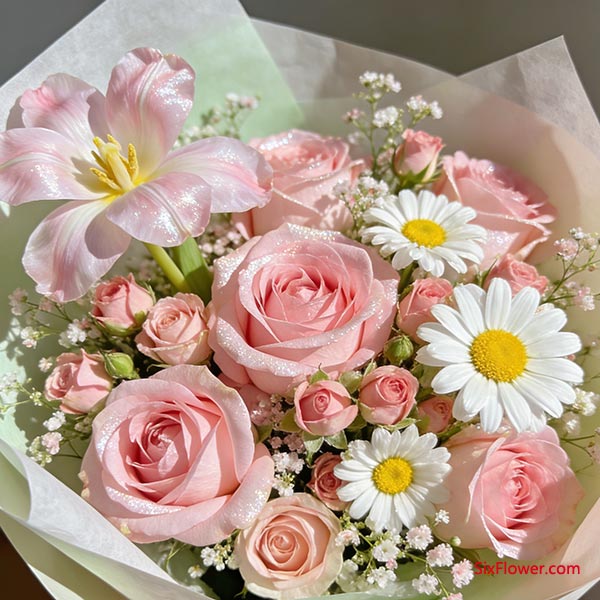�ʺ�Ů���Ļ���&mdash;&mdash;���ᡢ�������в��