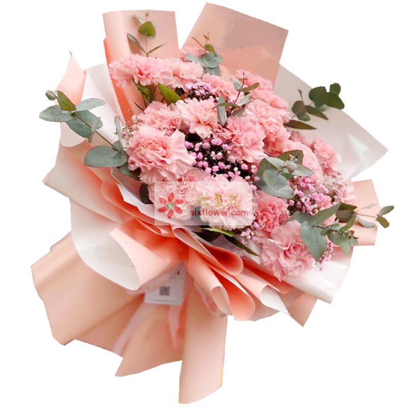 20朵粉色康乃馨，你是我心中的偶像