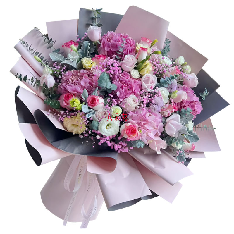 4ֻ��ɫ����16���õ�壬��д����ƪ��