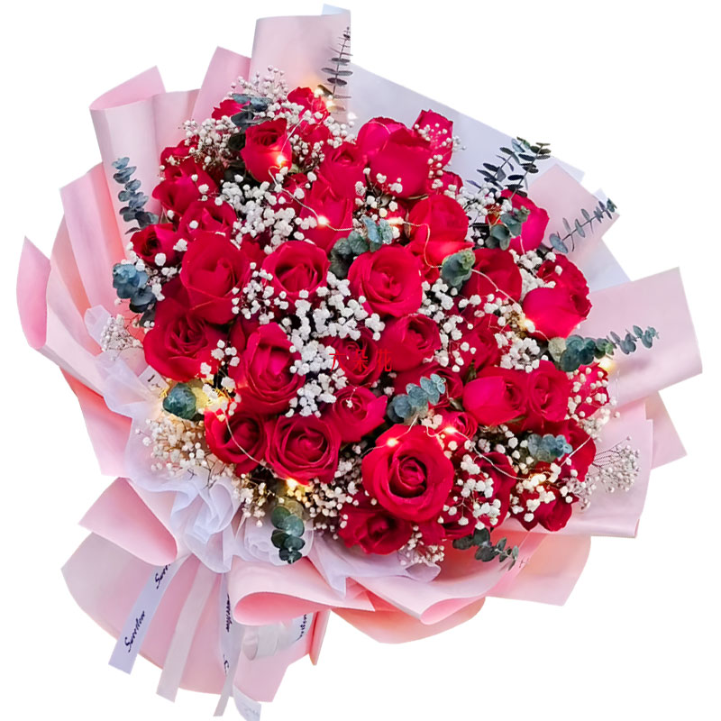 33朵红玫瑰灯带,始终爱你如初