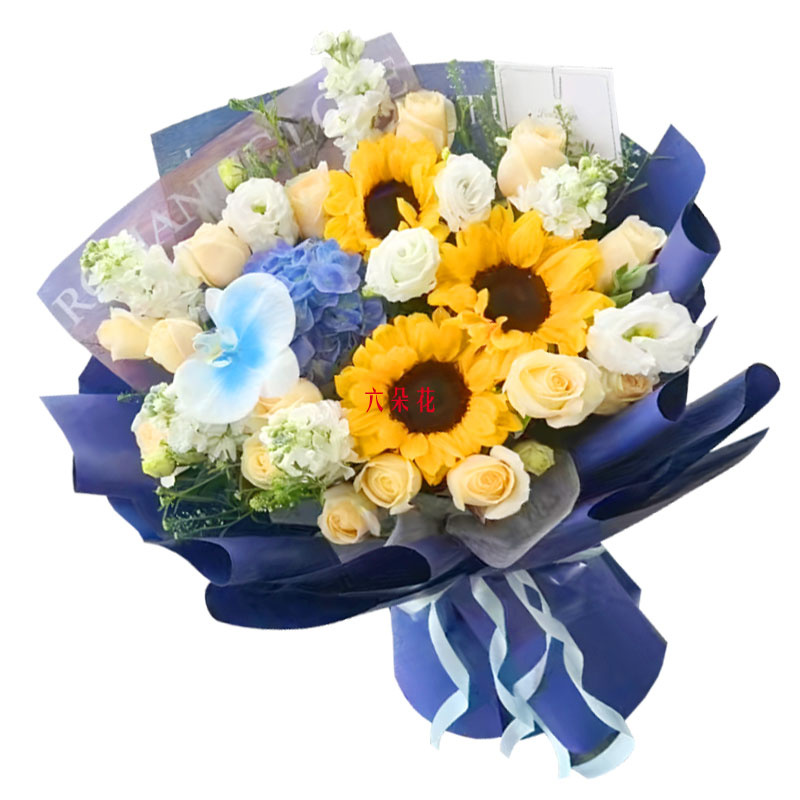 3�����տ�11������õ�壬ÿ�춼�ֿ���