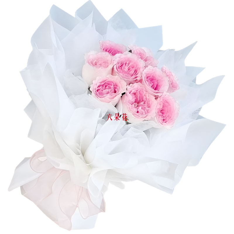 9朵洛神粉玫瑰,余生请你指教