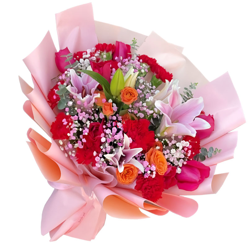 11���ɫ����ܰ5���õ�壬Ը���Ĳ�ů��