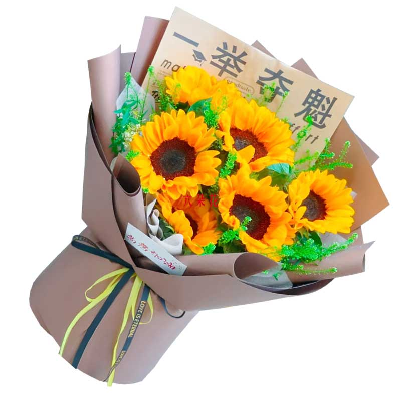 6տֲݴ䣬ԻԼ