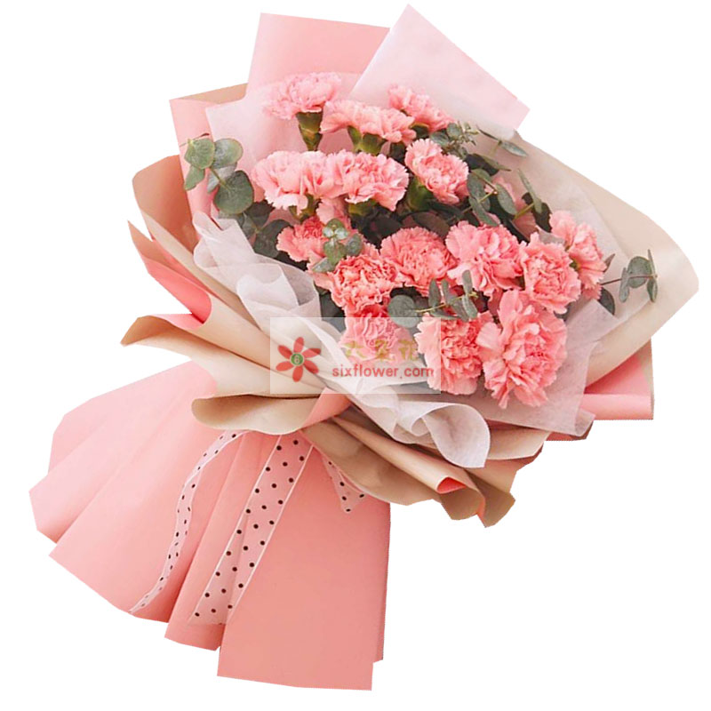 20朵粉色康乃馨，天天享安康