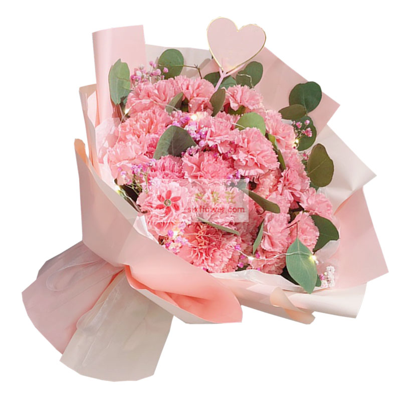 33朵粉色康乃馨，祝愿您一切安好