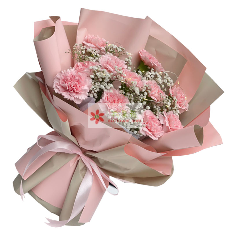 11朵粉色康乃馨满天星，美好生活
