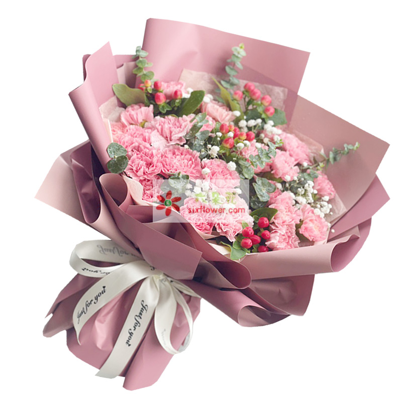 22朵粉色康乃馨，真挚的祝福捎给您
