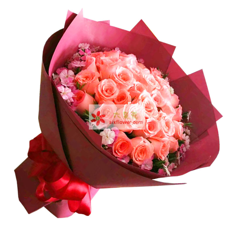 29朵戴安娜粉玫瑰，永结同心