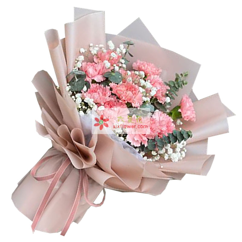 12朵粉色康乃馨满天星，在您的爱中成长
