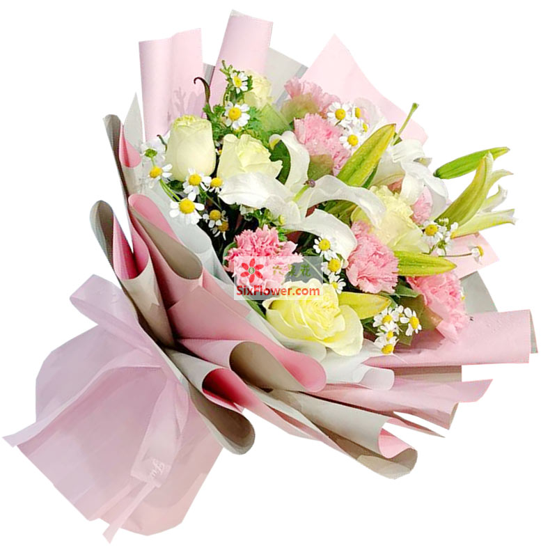 9朵粉色康乃馨白玫瑰，幸福快乐