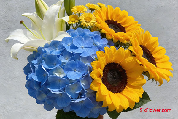 ������������Ӿ������