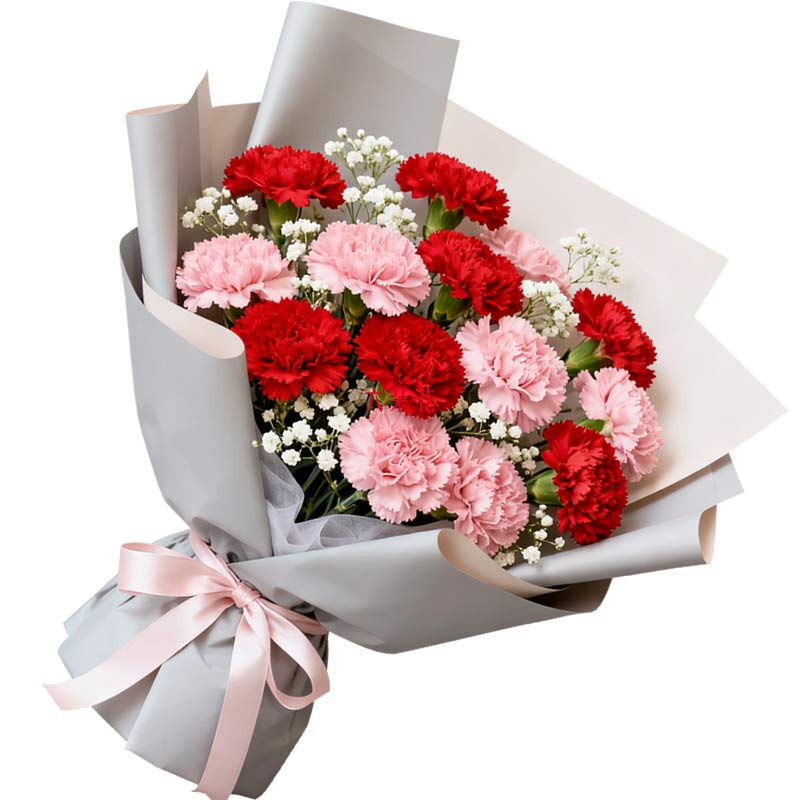 16朵康乃馨混搭,人生闪耀迷人