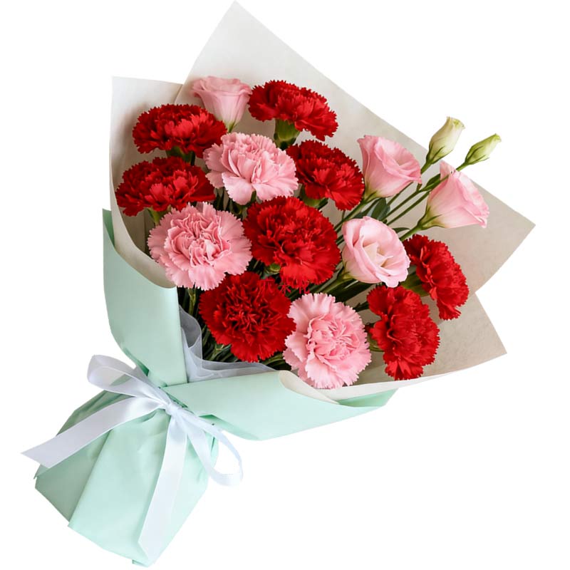 12朵康乃馨混搭,安康幸福常伴