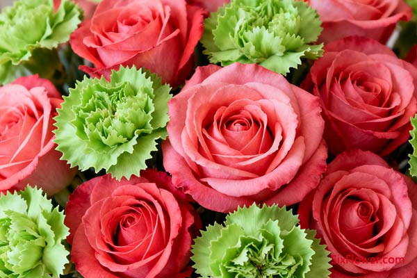 独特的纹理与适中的体量