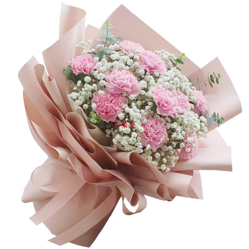 11朵粉色康乃馨满天星丰满,滋润我的心田