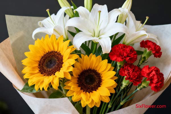 向日葵 + 百合 + 康乃馨