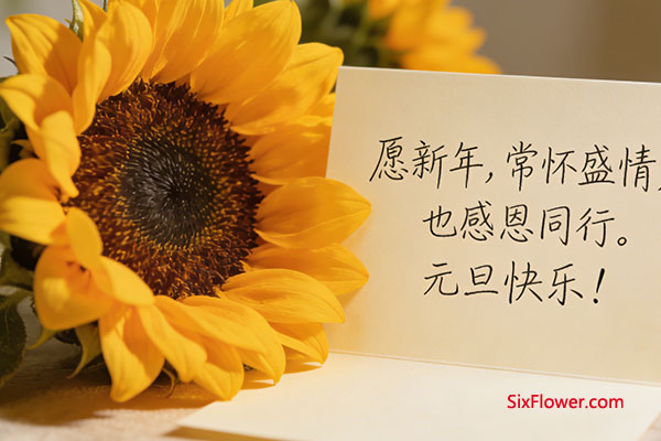 卡片寄心语——落墨手写祝福,字字皆含深情