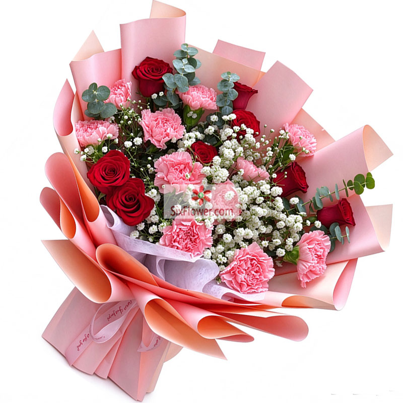 11���ɫ����ܰ8���õ�壬�Լ���С�Ҹ�