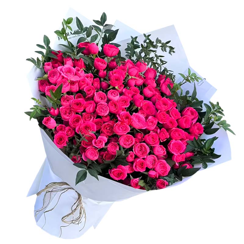 22支苏菲宝贝多头玫瑰,一起探索人生