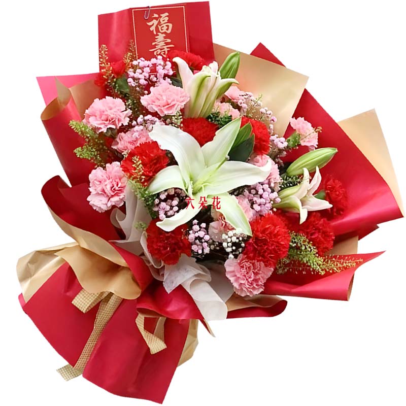 20�俵��ܰ2֧�ٺϣ�����������ů