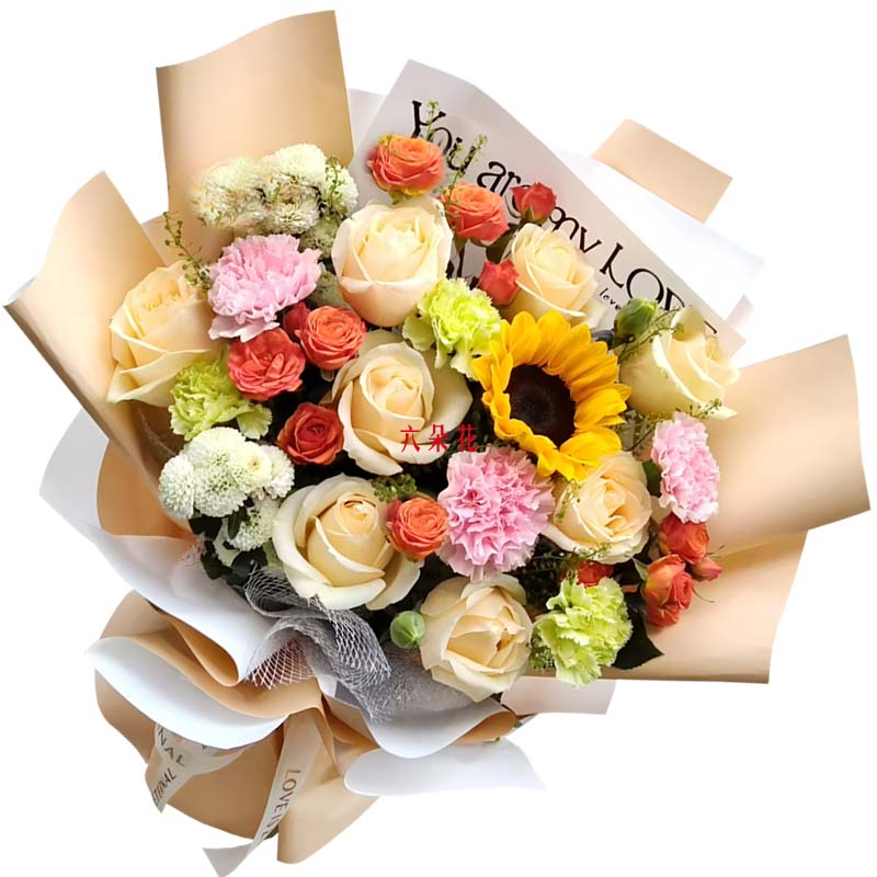 8������õ�念��ܰ���տ���Ѥ�����òʺ�