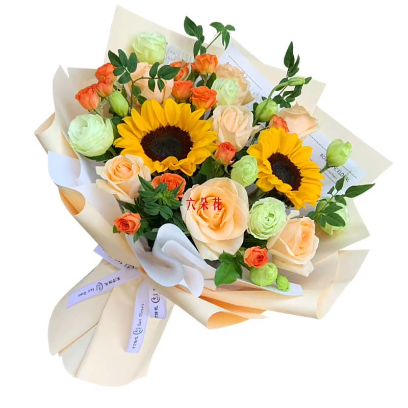 8������õ��2�����տ�������ϣ����â