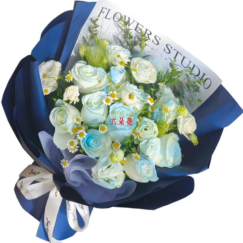 9���������õ��9��۹���Я���������