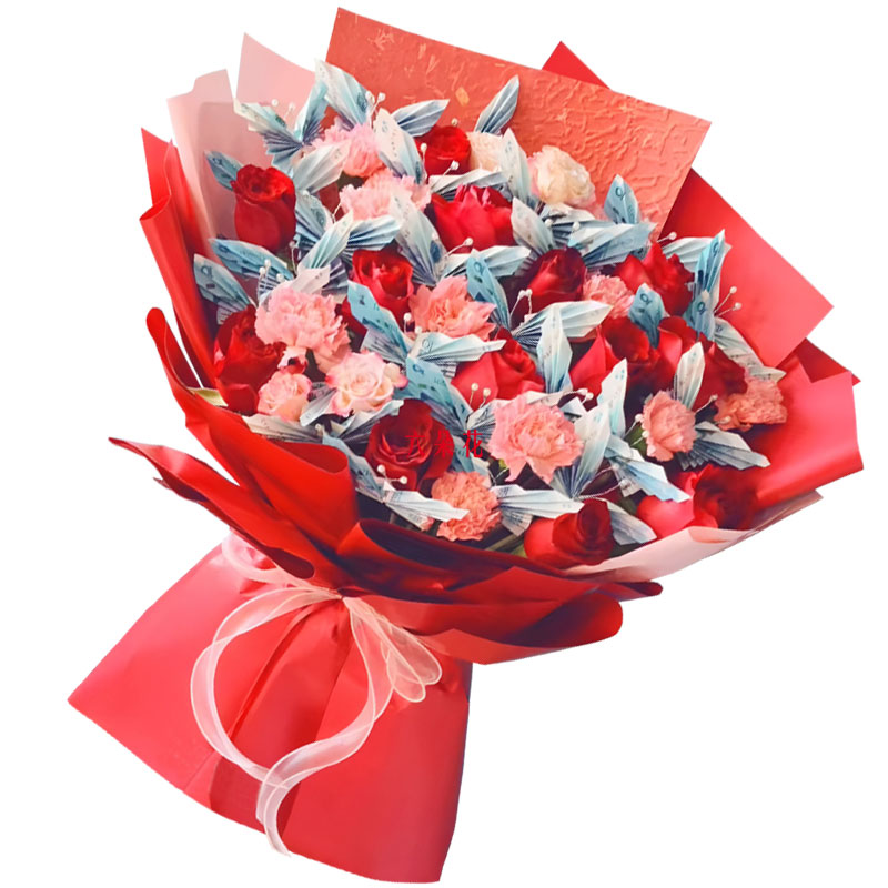 12���õ��9�俵��ܰ����ң�ɢ�����˹��