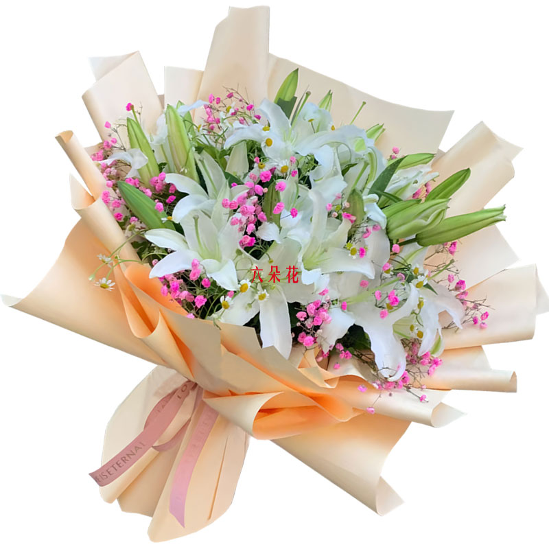 9֧��ɫ��ͷ�ٺϣ�ǡ������֦