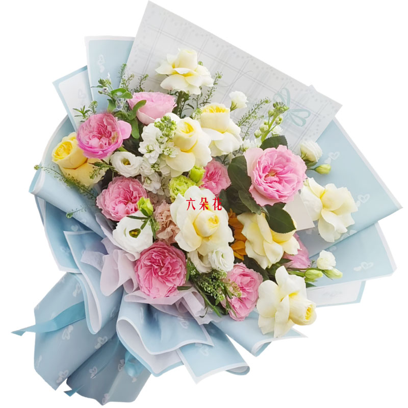 16��õ�廨���տ����Ҹ�������