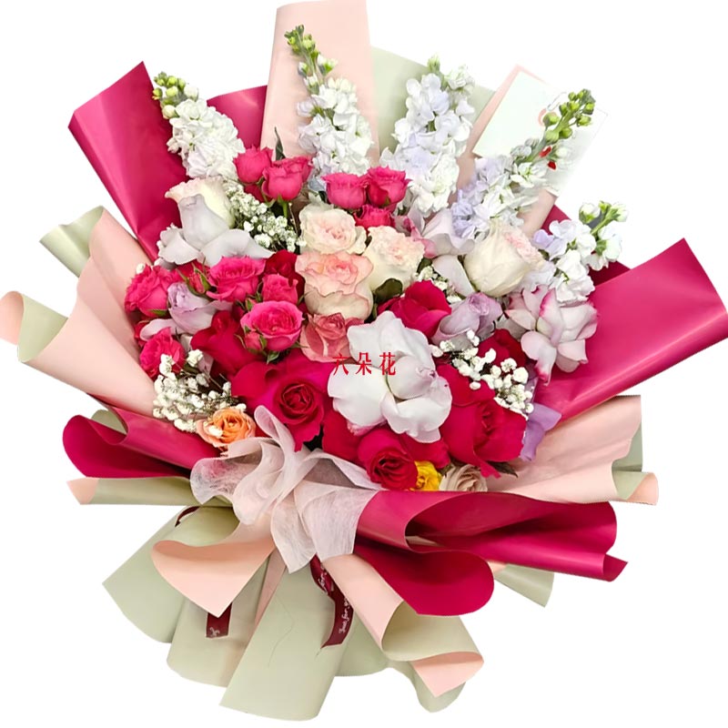 20朵玫瑰5支紫罗兰,我心之所向