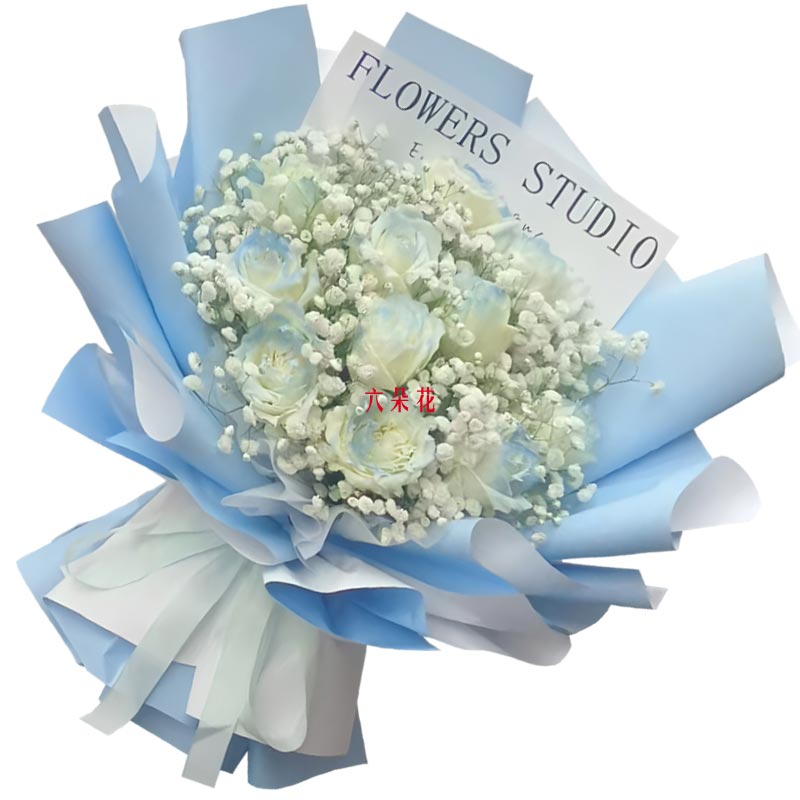 11朵碎冰蓝玫瑰满天星丰满,我的满心欢喜