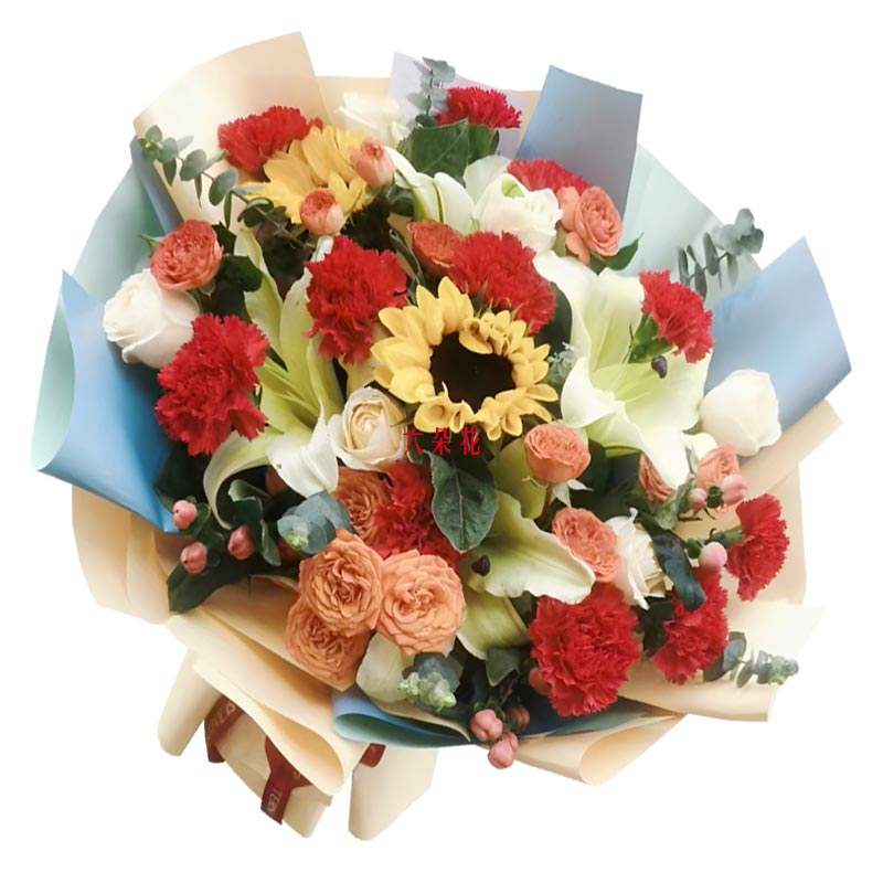 11���ɫ����ܰ2�����տ�����������