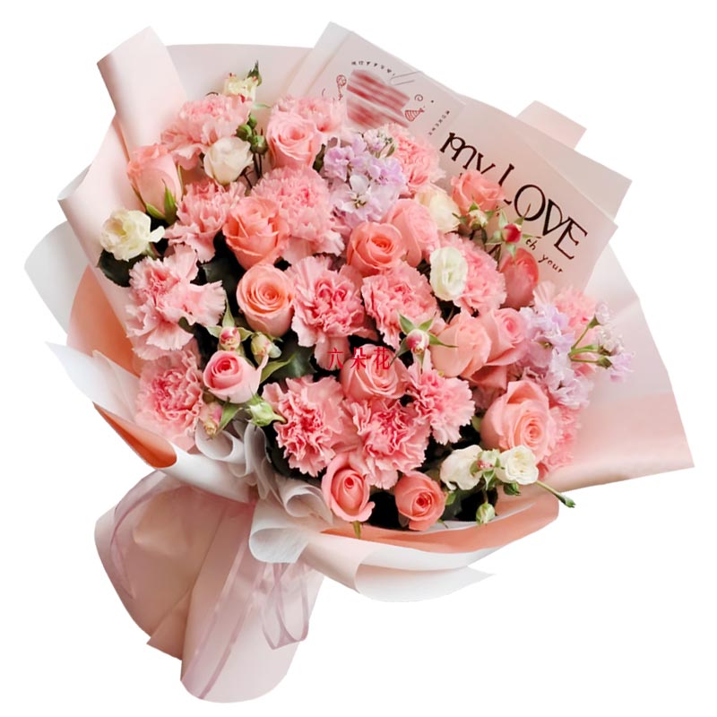 16���ɫ����ܰ12���õ�壬Ը����˲�ֹ