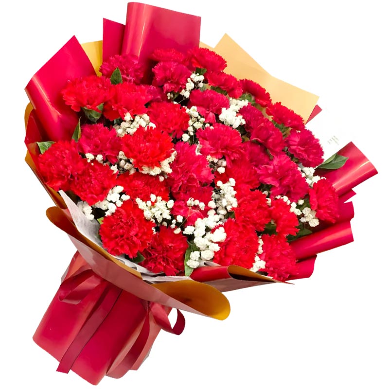 33���ɫ����ܰ�����곤����