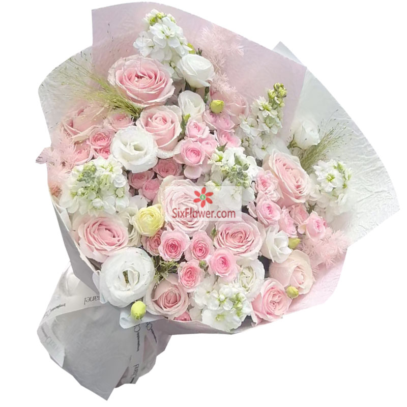 11������ȷ�õ��6֧���������మ�ļ��ֻ�