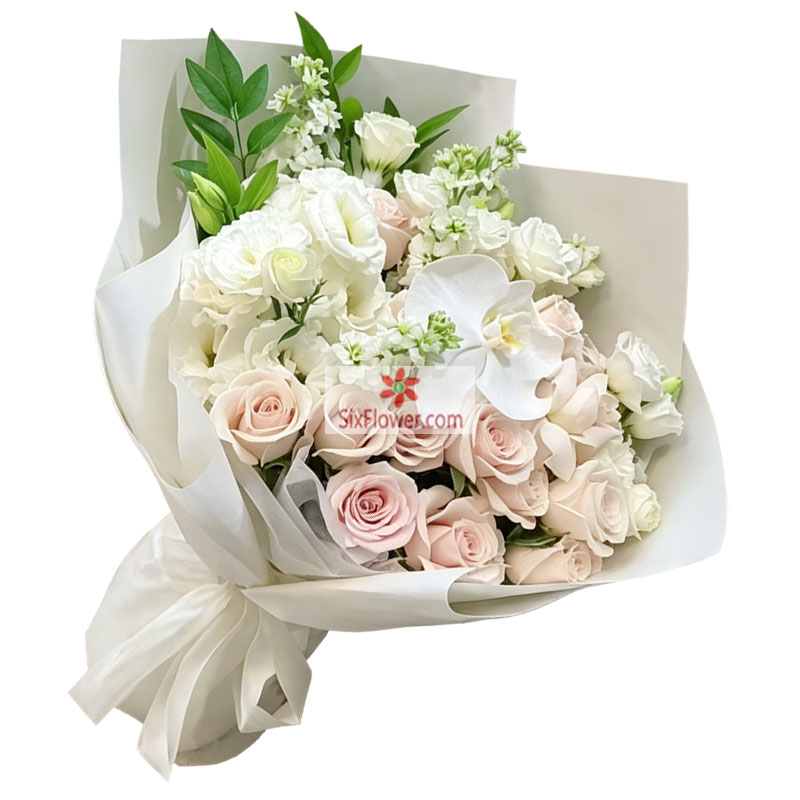 12朵粉雪山粉玫瑰1支蝴蝶兰,与你共度温柔