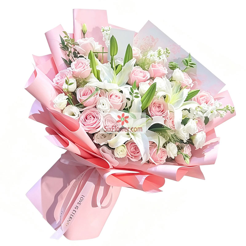 19���õ��2֧�ٺϣ��ʺ�����¶�