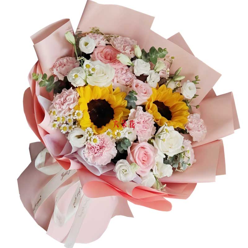 10���ɫ����ܰ5��õ�壬�Ҹ���Χ����