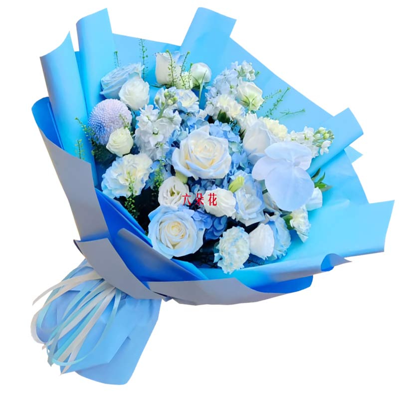 8朵白玫瑰碎冰蓝1支蝴蝶兰,爱绚丽的彩虹