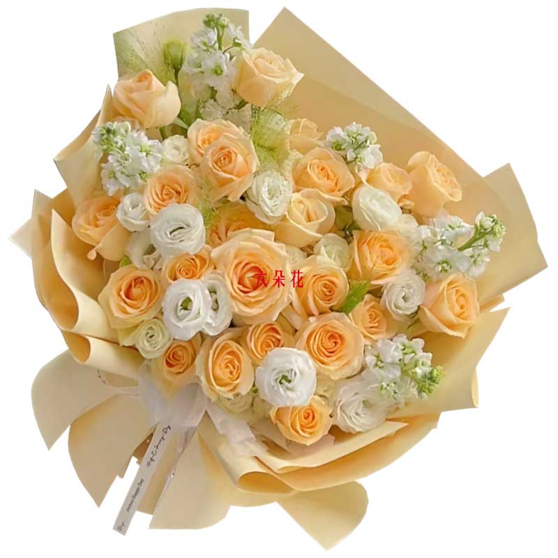 22������õ��5֧�����������㲻ֻ˵˵