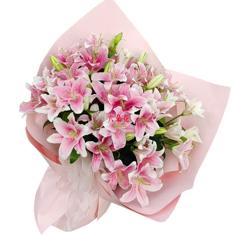 12支粉色多头百合,点亮我的心情